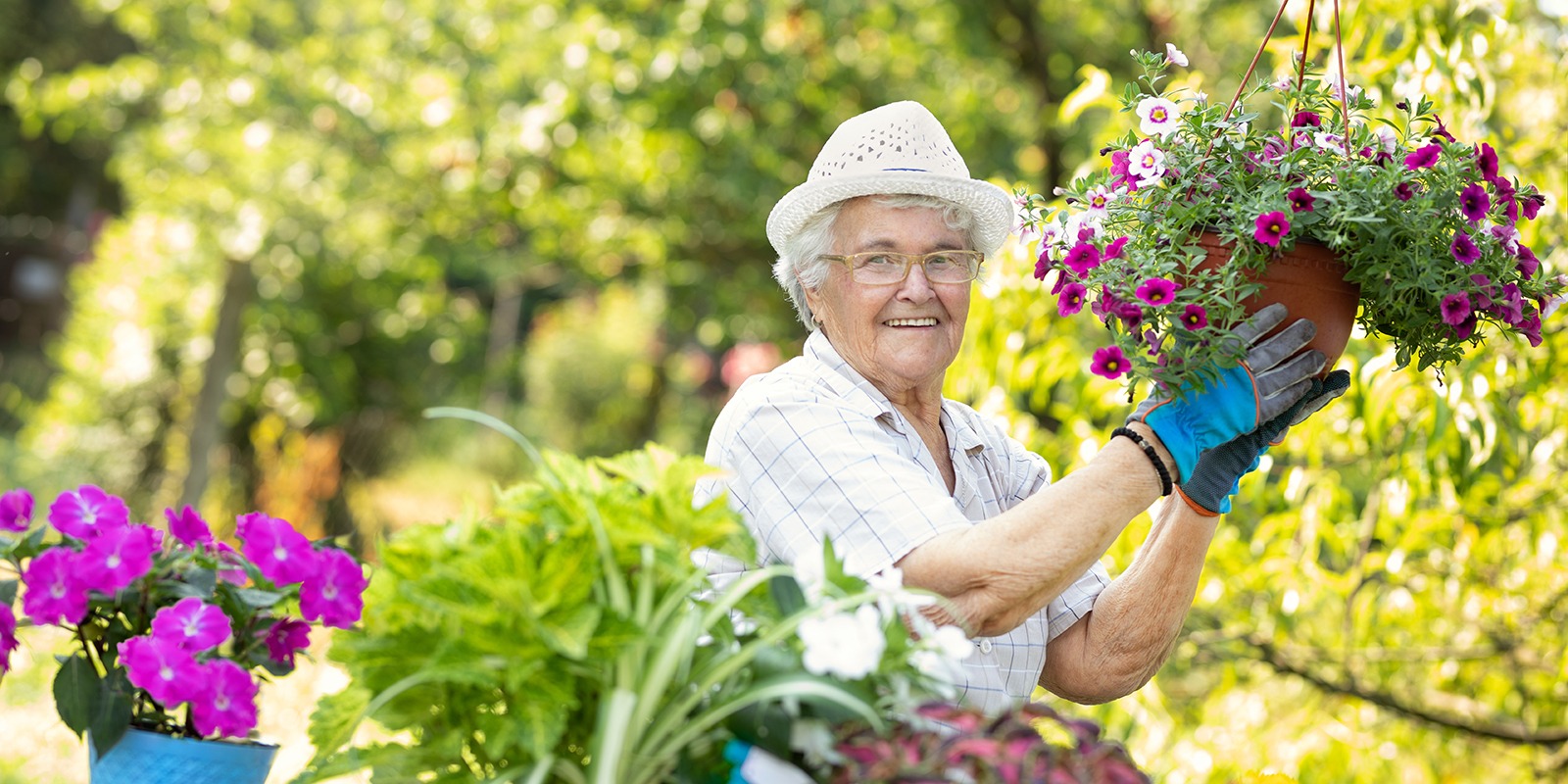 Advanced Health Care Power of Attorney (POA). When you cannot speak for yourself, who do you want to speak for you? Contact us. If we cannot help you, we will likely have a contact who can. We offer free consultations.