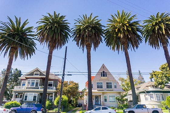 Old houses and palm tree-lined streets in downtown San Jose.